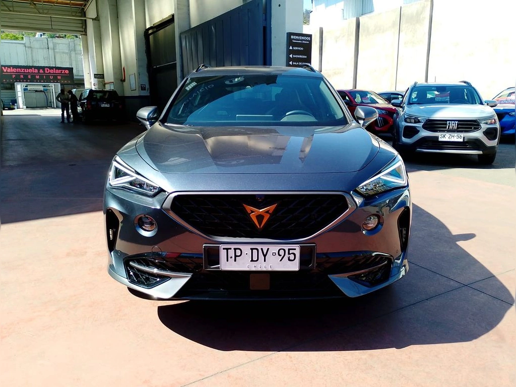 Cupra Formentor 2.0 tsi at 4drive